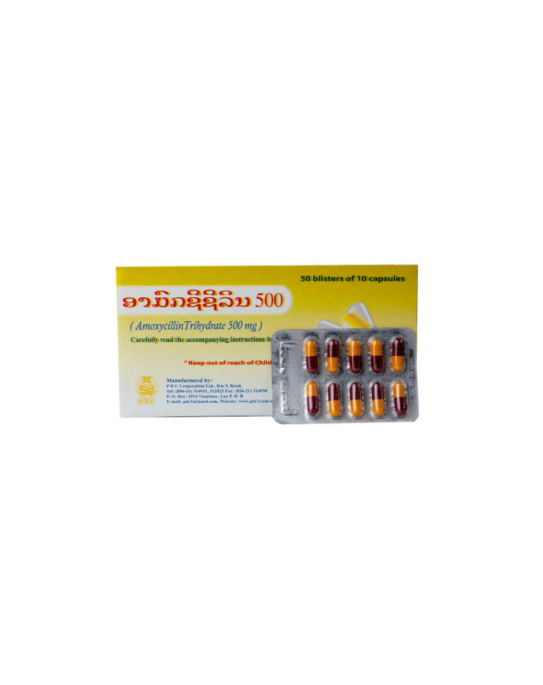 AMOXYCILLIN 500 - Image 2